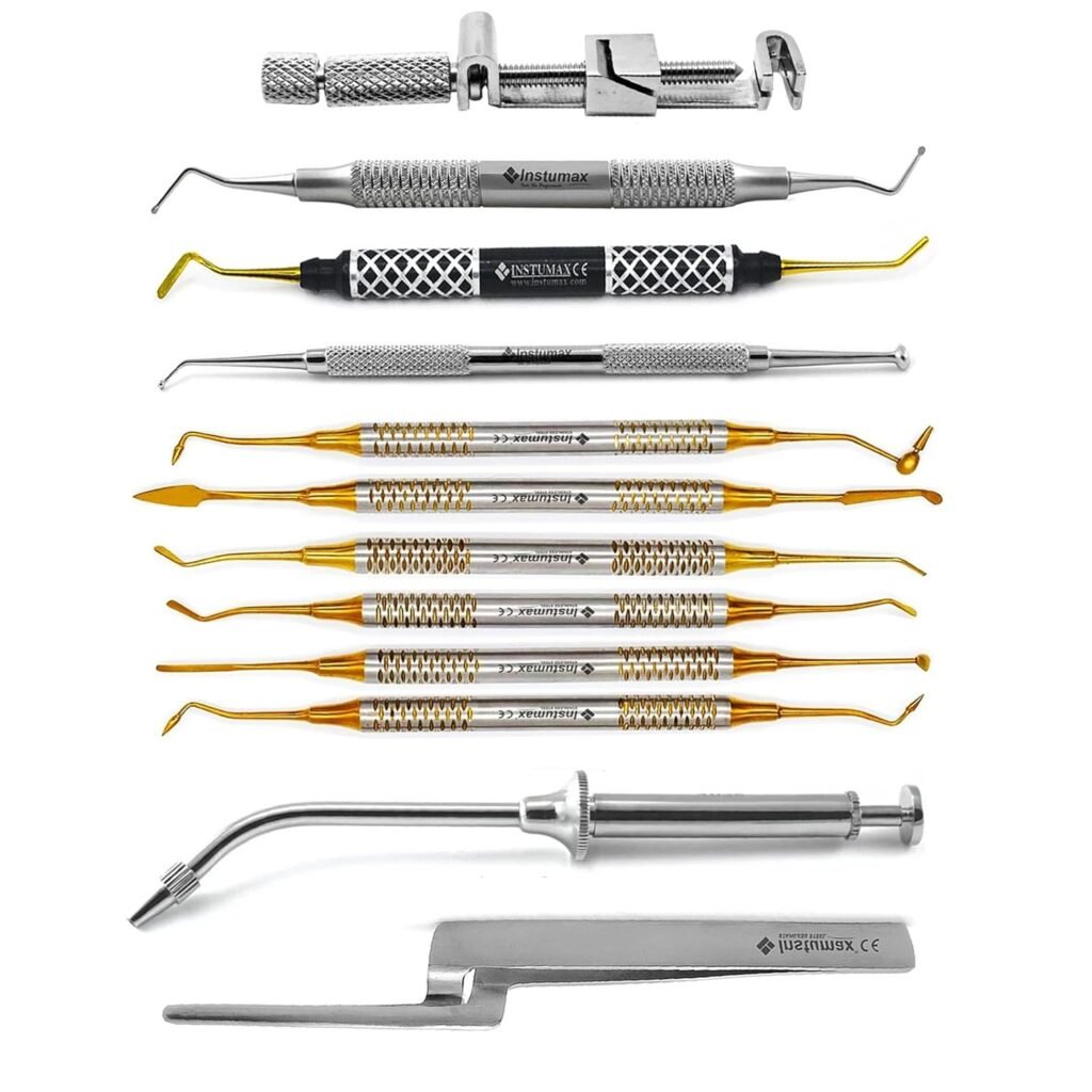 Dental Burnisher Set
