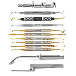 Dental Burnisher Set